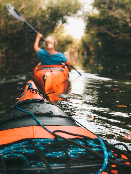 kayaks